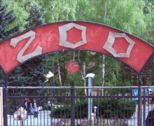 Зоопарк Кишинева остается открытым для посетителей