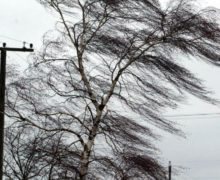 В Молдове объявили желтый код метеоопасности из-за штормового ветра