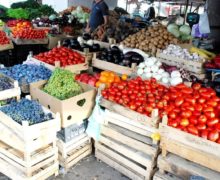 Разрешение есть, продавцов нет. Почему многие фермерские рынки в Кишиневе пустуют?