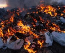 Мусор из избы. Министерство окружающей среды не согласно с запретом на сжигание отходов