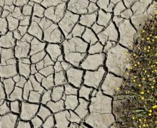 Синоптики объявили желтый код в связи с засухой