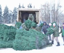 Новогоднюю елку убрали с центральной площади Кишинева