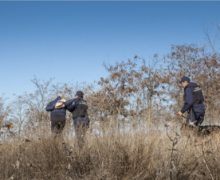 Пограничные службы Молдовы и Румынии будут вместе патрулировать границу