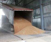Кому выгоден «пшеничный» скандал? Как запрет на экспорт госзерна повлияет на цены и рынок