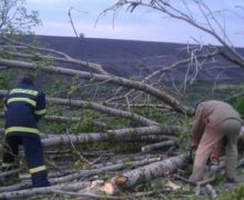 Несколько населенных пунктов на севере Молдовы пострадали от сильного ветра и проливных дождей с градом