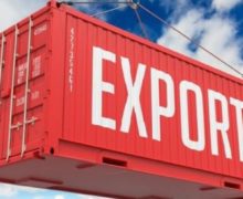 Алайба: Молдова за год сократила на 31% экспорт в Россию