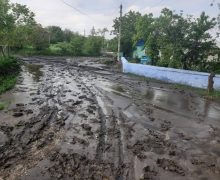 На севере Молдовы из-за ливней затопило несколько домов