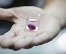 В Израиле ученые впервые создали человеческое сердце на 3D-принтере