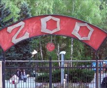 Вход в Кишиневский зоопарк 17 июля будет бесплатным. Там пройдет квест