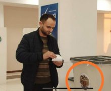 Откуда в Комрате появились избирательные урны с гербом России
