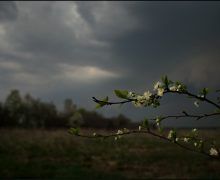 В Молдове синоптики обещают дожди с грозами и градом