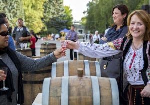 Молдова увеличивает экспорт вина. Сколько стоит бутылка молдавского вина за границей?