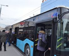 Из Кишинева в Сынжеру вместо троллейбуса будет ходить автобус