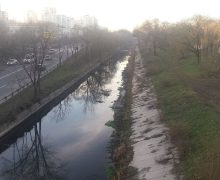 Мэрия Кишинева назначила на 16 марта уборку русла реки Бык