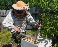 Ложка меда. Как превратить пчеловодство из хобби в прибыльный бизнес