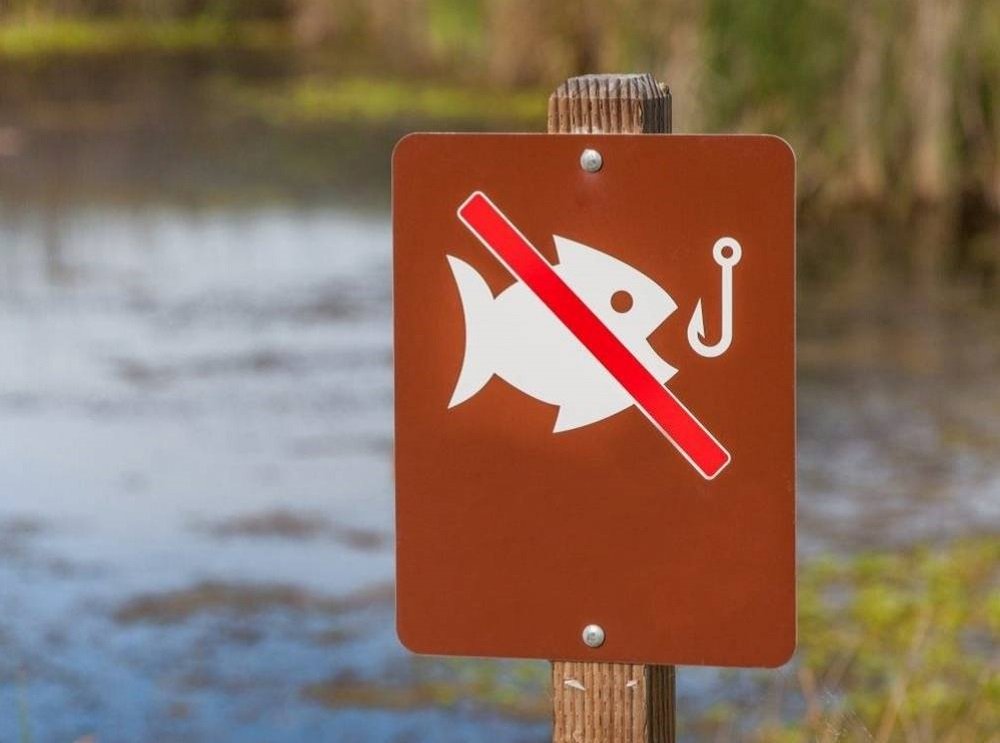 Где в Молдове запрещена рыбалка на период нереста. Список водоемов -  NewsMaker