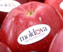 Шире фрукт. Россия запросила список молдавских экспортеров сельхозпродукции