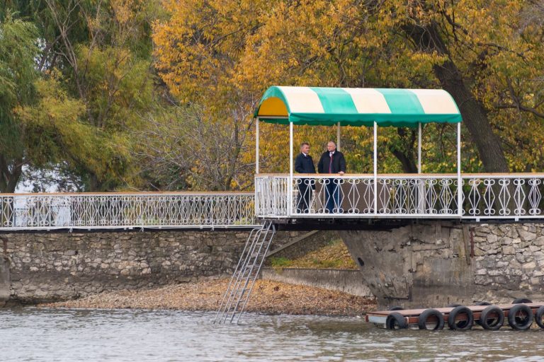 додон, красносельский