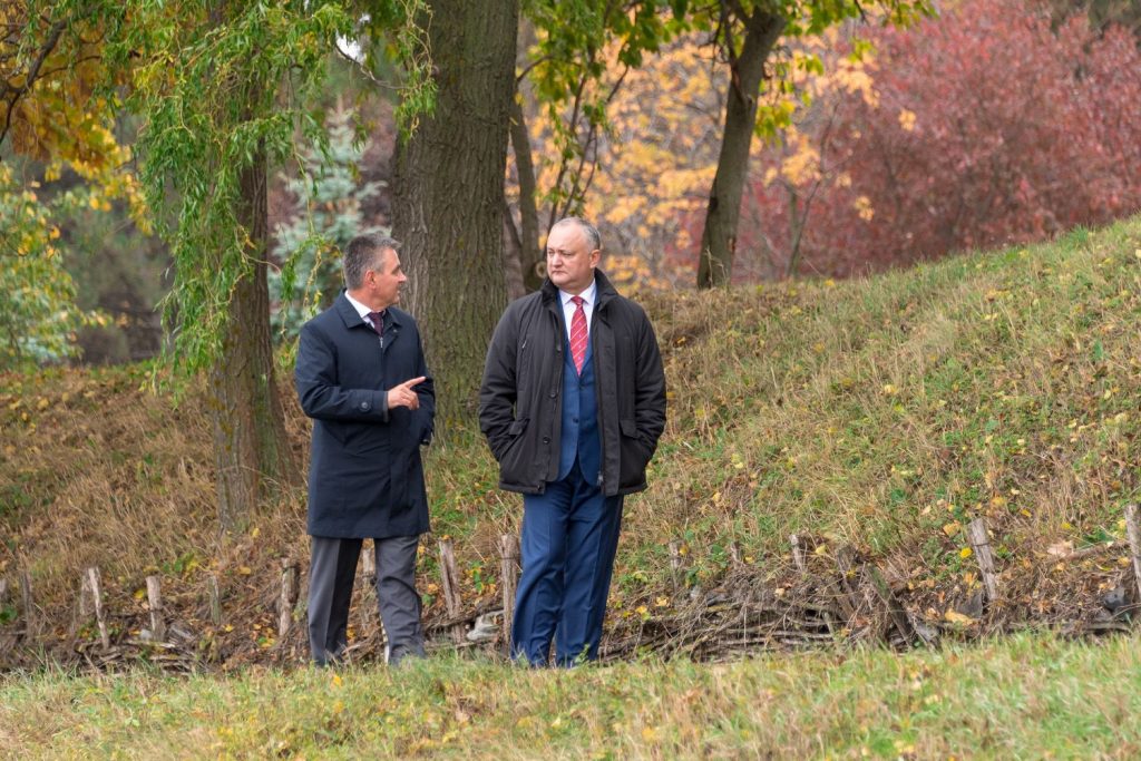 додон, красносельский