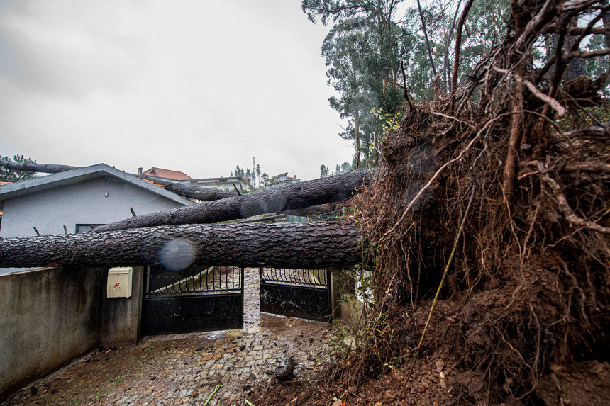 На Испанию и Португалию обрушился ураган «Эльза». МИДЕИ предупредило, в какие районы ездить опасно