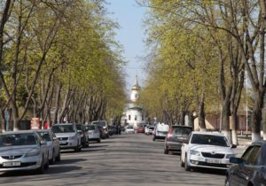 Королевской аллее не помогли исторические корни. Как в Кагуле вырубили деревья, мешавшие новострою