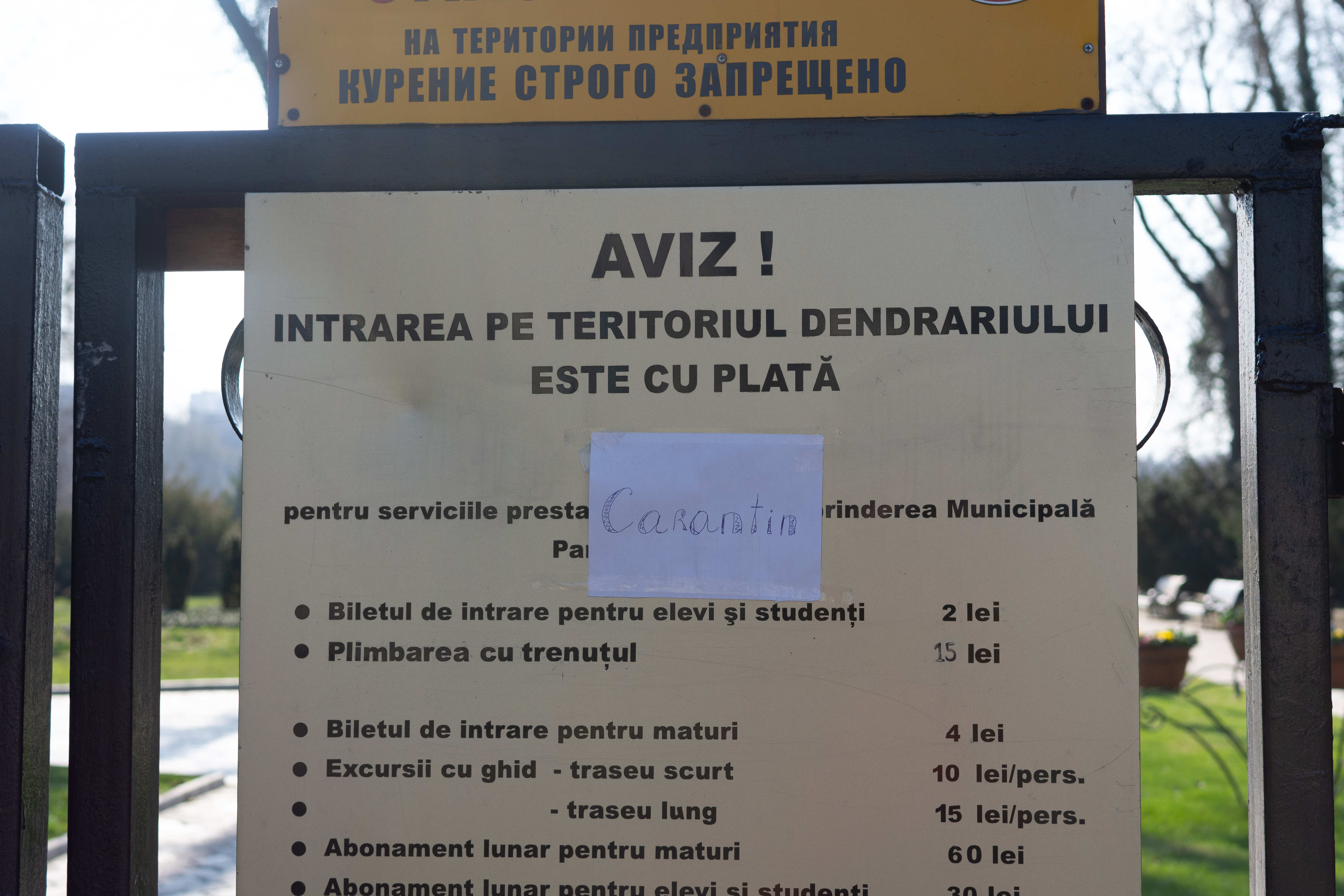 FOTOREPORTAJ/ Orașul Chișinău în carantină. Ce se întâmplă în capitală în timp ce stați acasă