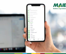 Сделай выбор в пользу цифровых услуг от MAIB