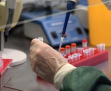 Власти Молдовы закупили еще 100 тыс. тестов на коронавирус