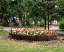 NM Espresso: о месяце с коронавирусом в Молдове, отмене карантина в селе Бэлчана и цветах в Кишиневе