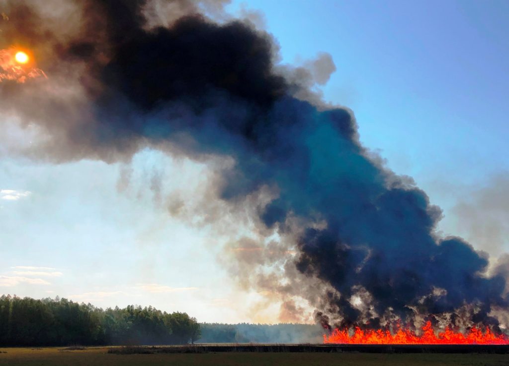 В Кагульском районе произошел пожар. Огонь уничтожил 70 га растительности (ФОТО)