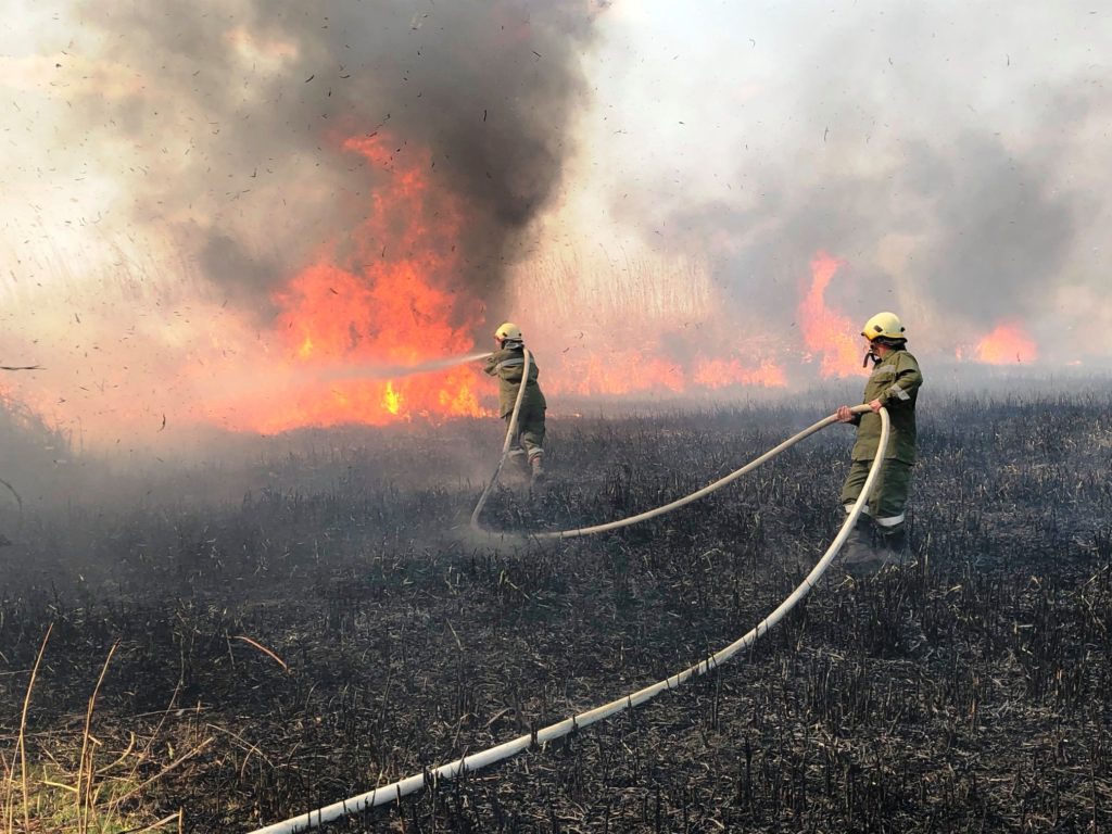 В Кагульском районе произошел пожар. Огонь уничтожил 70 га растительности (ФОТО)
