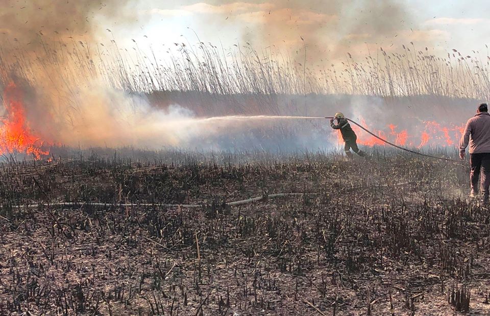 FOTO „Făptașii sunt niște criminali”. Incendiu puternic în raionul Cahul