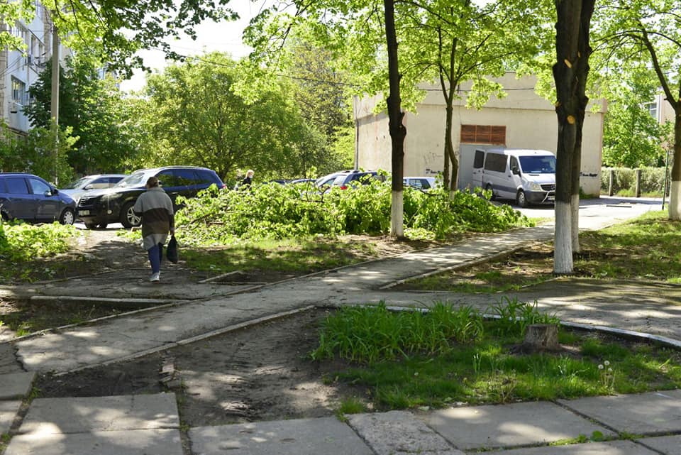В Кишиневе планируется ремонт сквера на Телецентре (ФОТО)