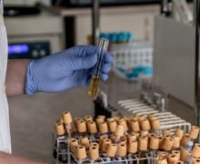 NM Espresso: о тестировании в Израиле вакцины от COVID, попытках Цуркана вновь возглавить КС и готовности Шора «предстать перед судом»