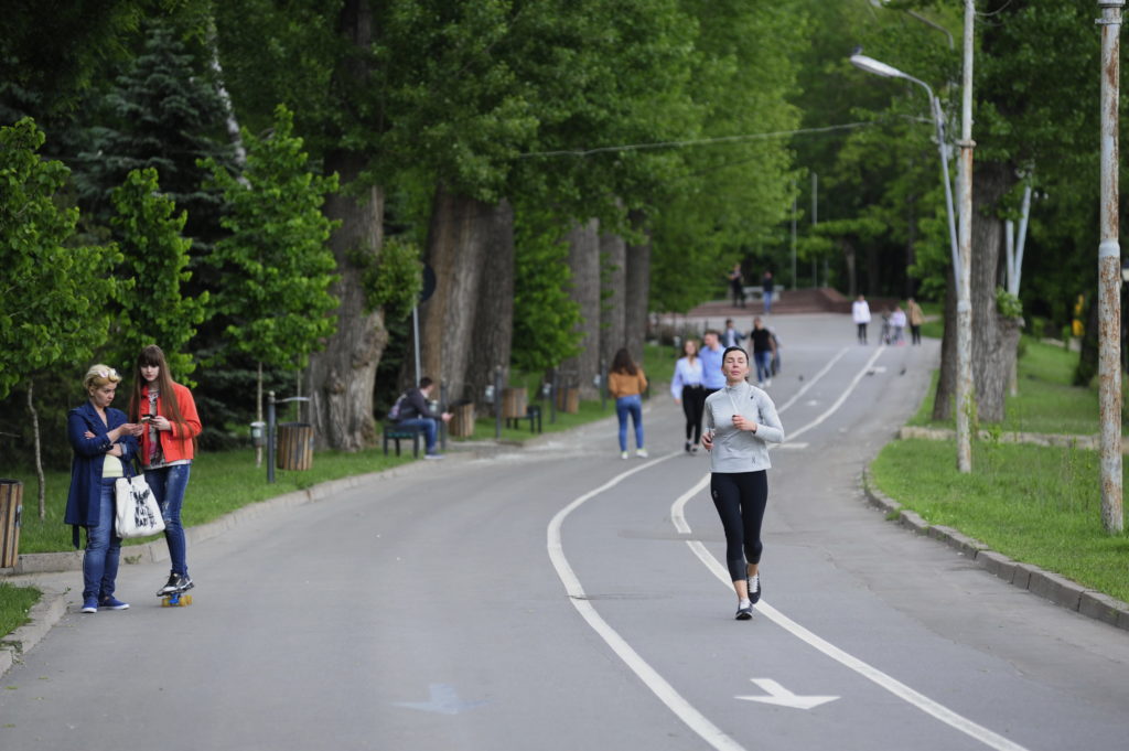 valea morilor