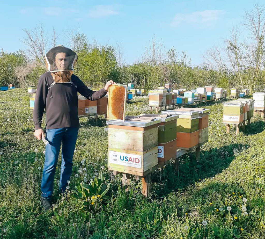 Miere certificată eco produsă în Moldova – afacerea dulce a lui Valeriu Ceancansciuc din Criva