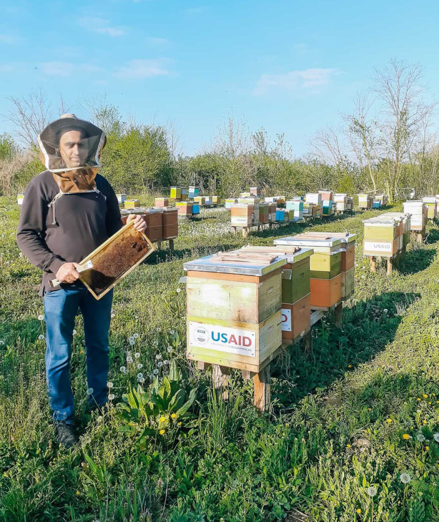 Miere certificată eco produsă în Moldova – afacerea dulce a lui Valeriu Ceancansciuc din Criva