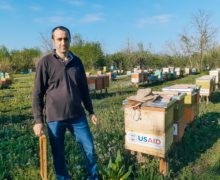 Miere certificată eco produsă în Moldova – afacerea dulce a lui Valeriu Ceancansciuc din Criva