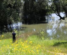 Растет уровень воды в Днестре. В Молдове объявили новый желтый код