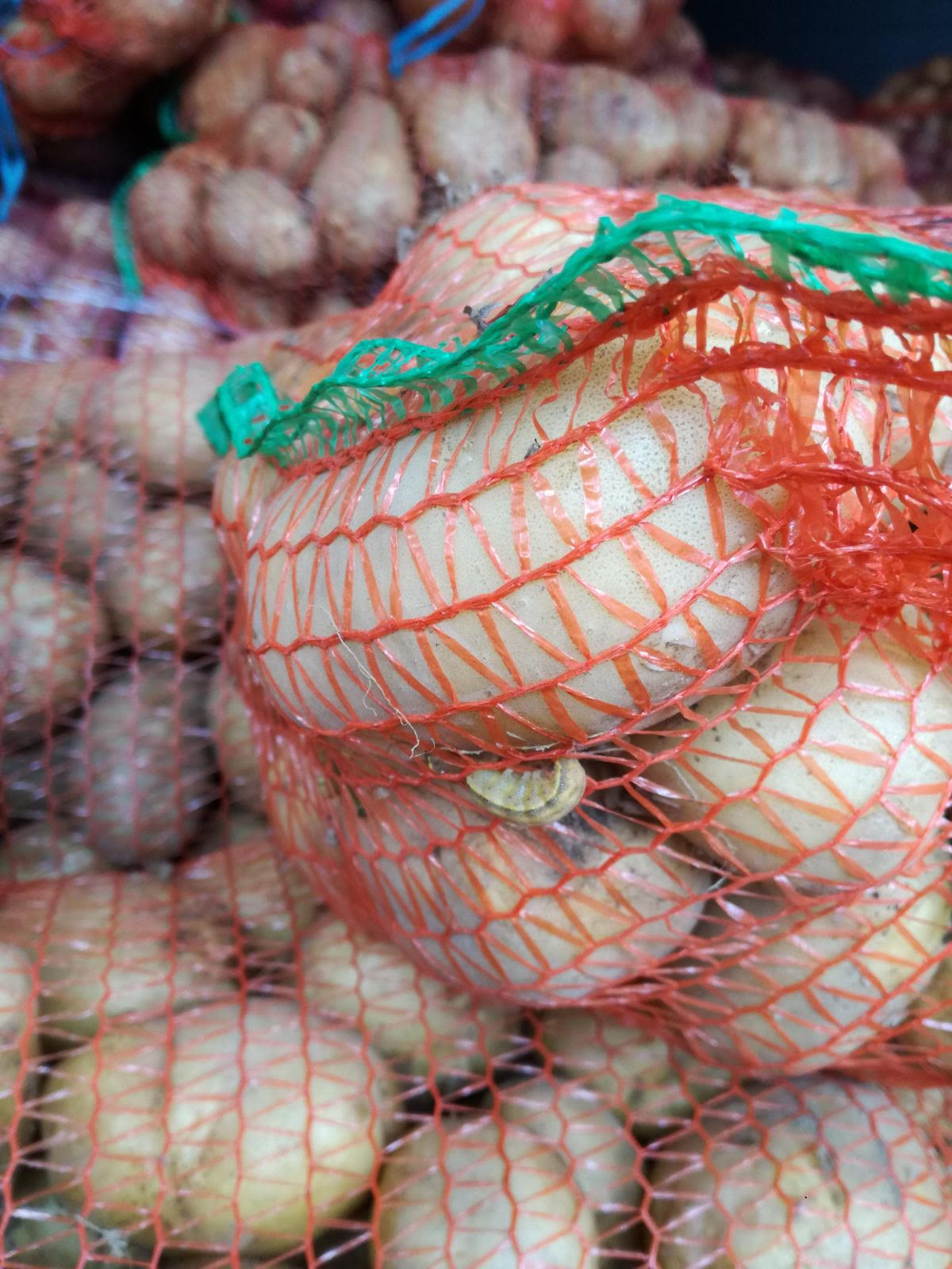 FOTO ANSA a returnat în țara de origine un lot de 21 de tone de cartofi. Au fost depistați dăunători în stare vie
