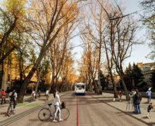 Улицу в центре Кишинева на день закроют для автомобилей