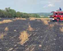 В Дондюшанском районе произошел пожар. Огонь уничтожил 7 гектаров пшеницы