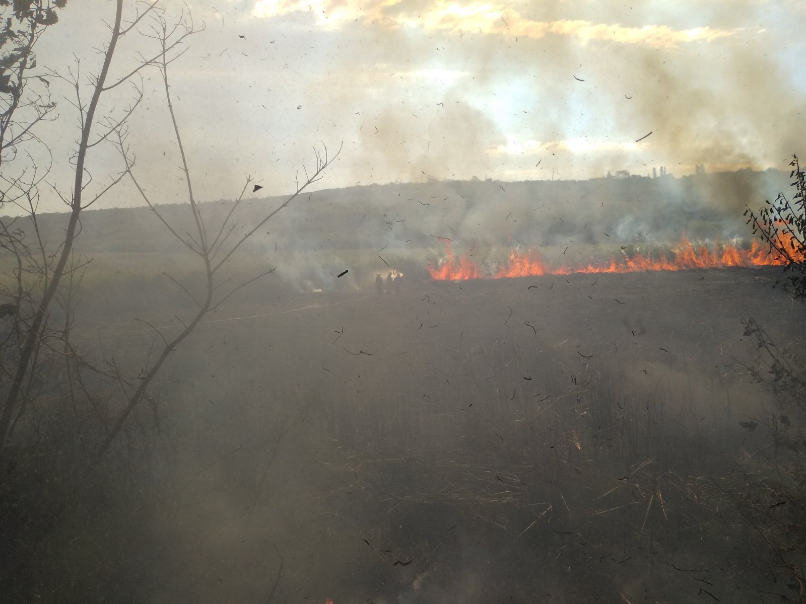 FOTO Un incendiu de vegetație a izbucnit în municipiul Ungheni. Aproximativ 70 ha de teren a fost afectat de foc