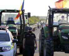 Иностранные компании смогут покупать сельхозземли в Молдове? Ассоциация фермеров раскритиковала проект Земельного кодекса