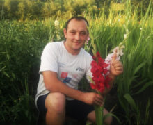 Pentru că gladiolele. Cum a apărut „Mica Olandă” la nordul Moldovei datorită unui businessman din Edineț