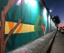 В Кишиневе закончили рисовать граффити на стенах под мостом на Телецентре (ФОТО)