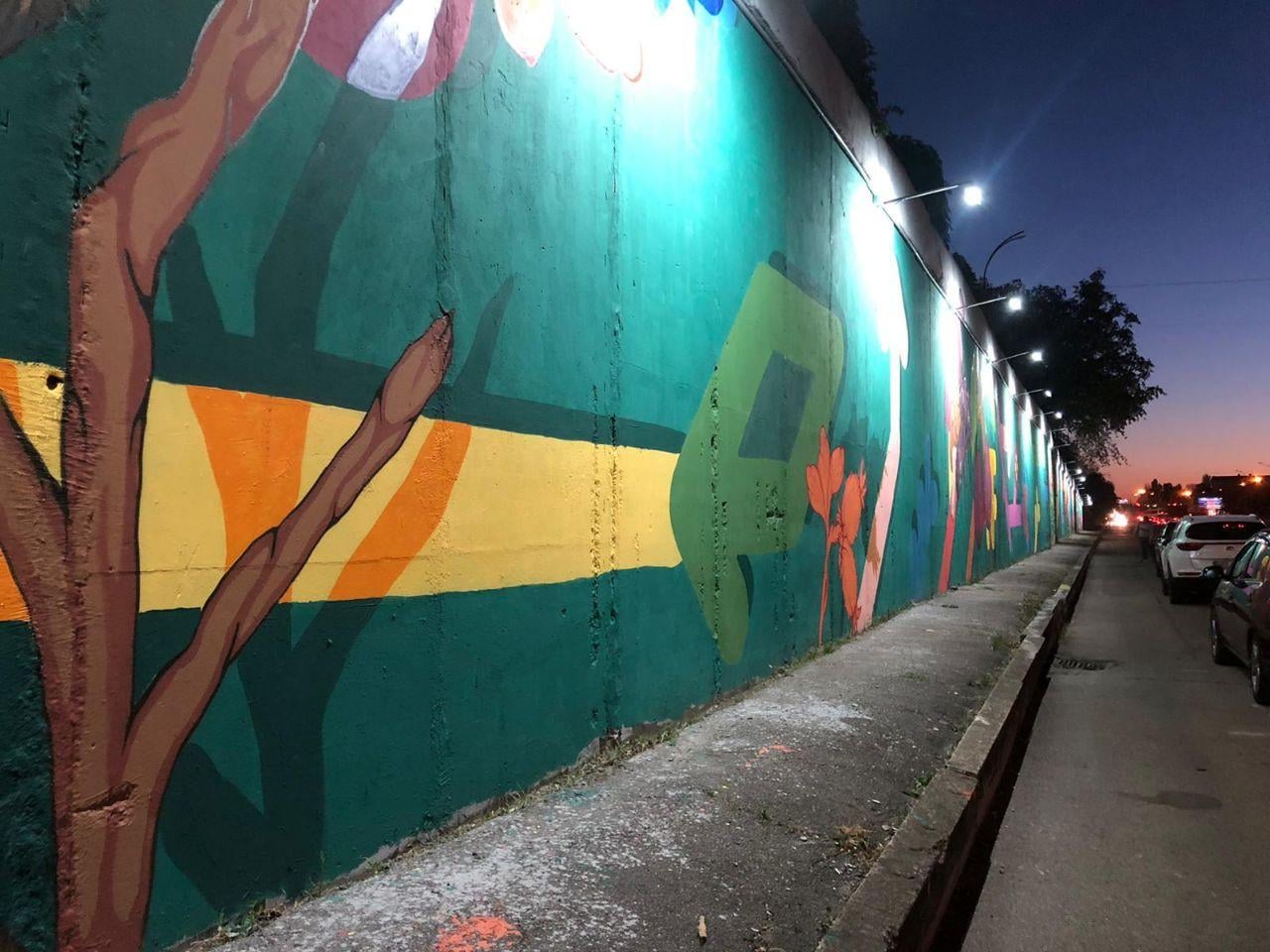 Pictura murală de sub podul de la Telecentru a fost finalizată. Costul estimativ al proiectului este de 300 de mii de lei