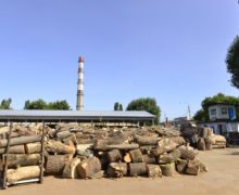 (DOC) В Молдове запретили перевозить древесину ночью. Решение комиссии по ЧС