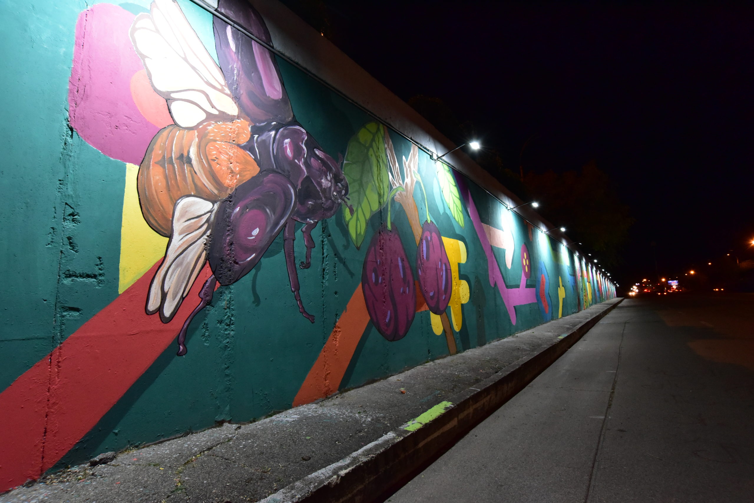 Как выглядит вечером мост на Телецентре, украшенный граффити. Фоторепортаж