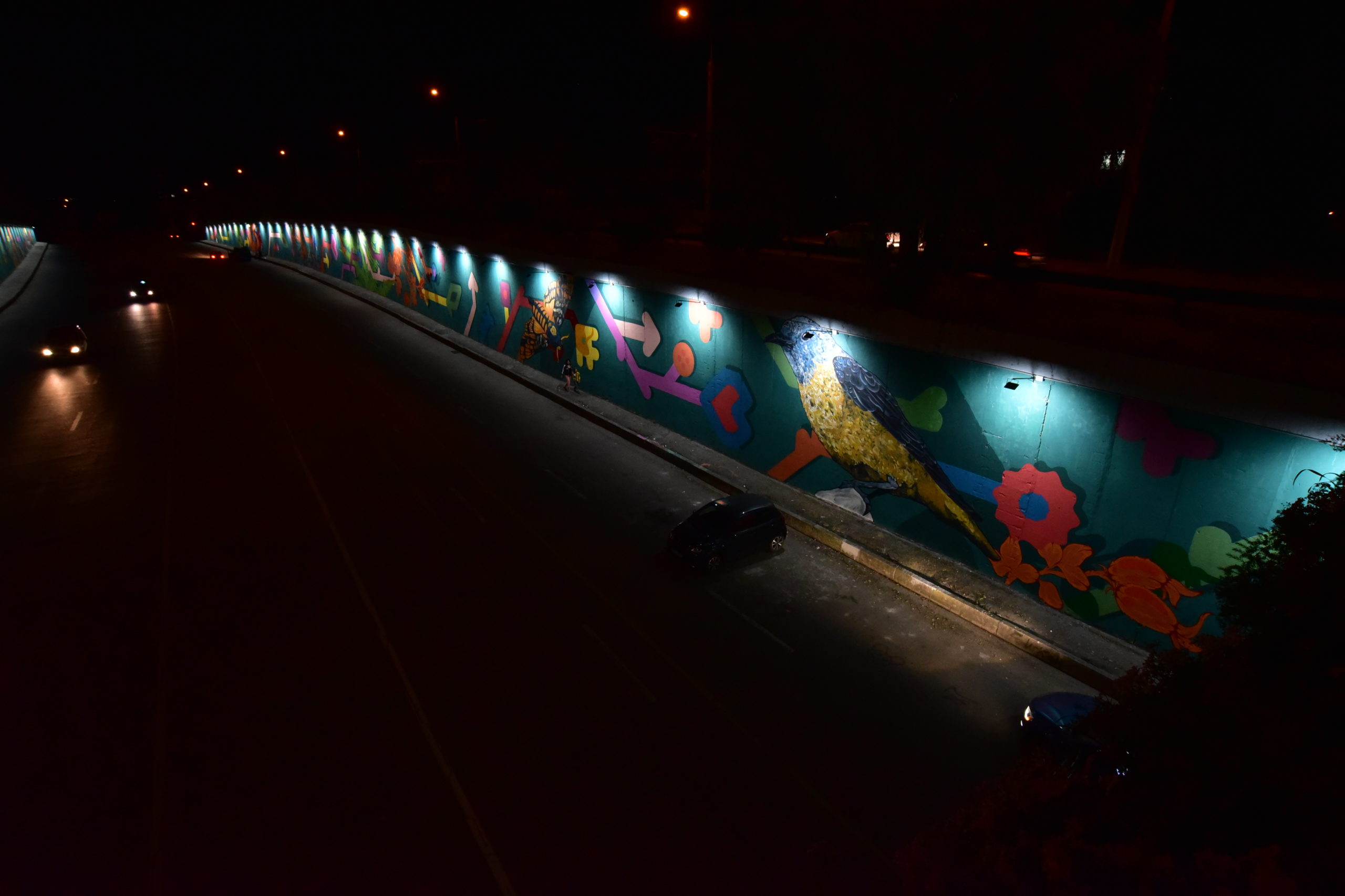 Как выглядит вечером мост на Телецентре, украшенный граффити. Фоторепортаж
